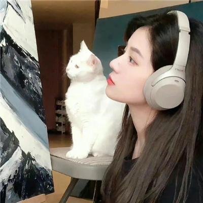 我最爱的女人们 宝藏版